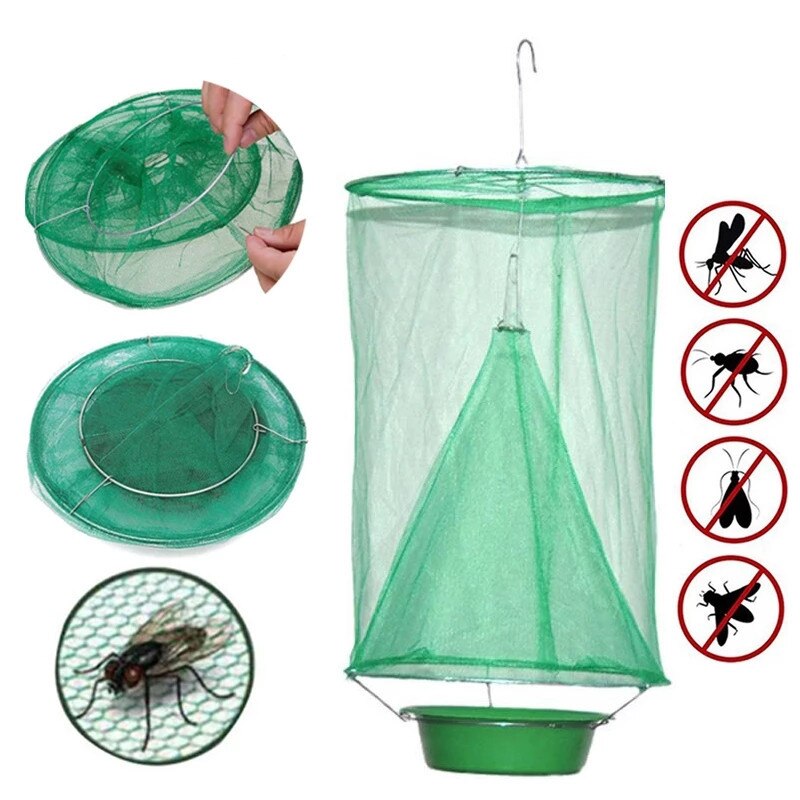 Hanging Fly Catcher